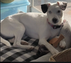 Stella Jane - Photo 13