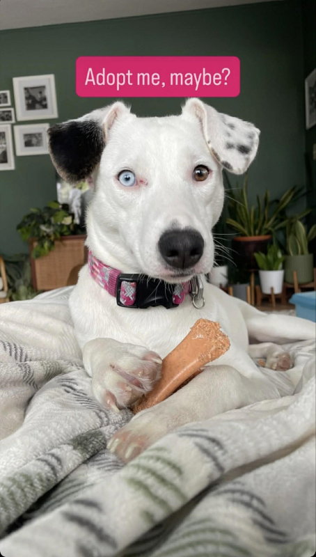 Stella Jane Image