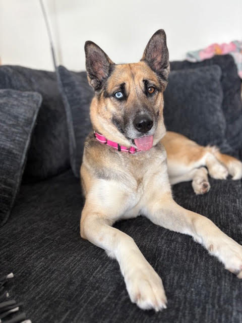 Mollie Mae Image