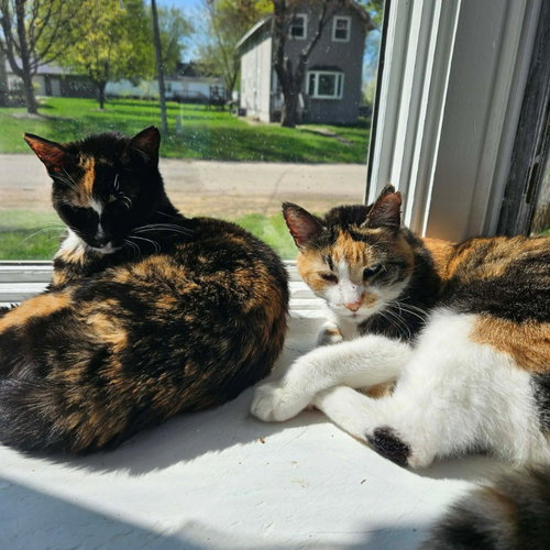 Photo 2 of Buttons & Spooky