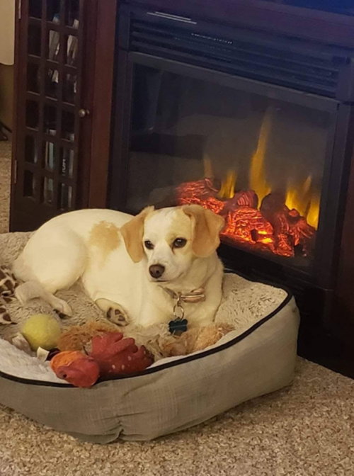 Bella Rae, photo 5