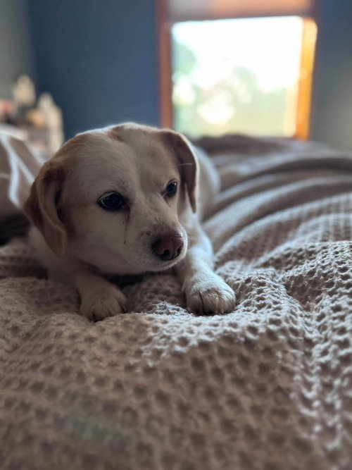 Bella Rae, photo 7