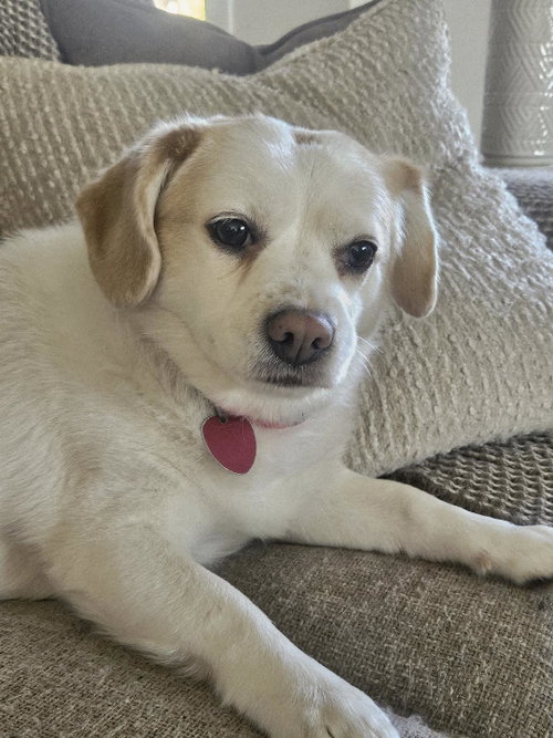 Bella Rae, photo 3