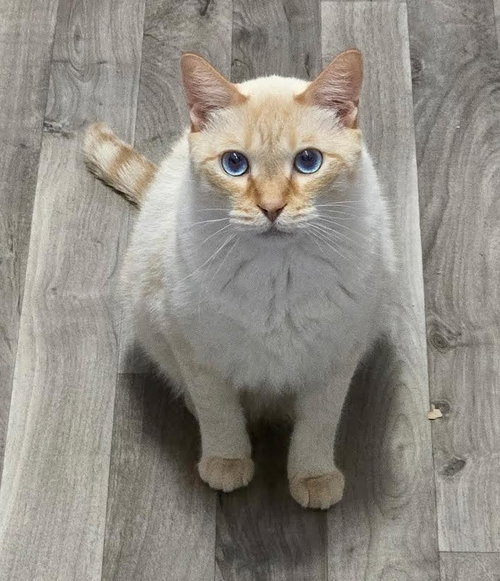 Sam