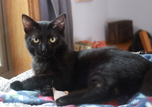 Photo 2 of Velvet