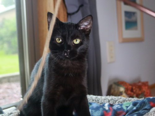 Photo 3 of Velvet