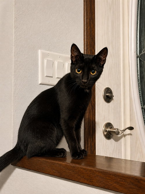 Photo 3 of Marty