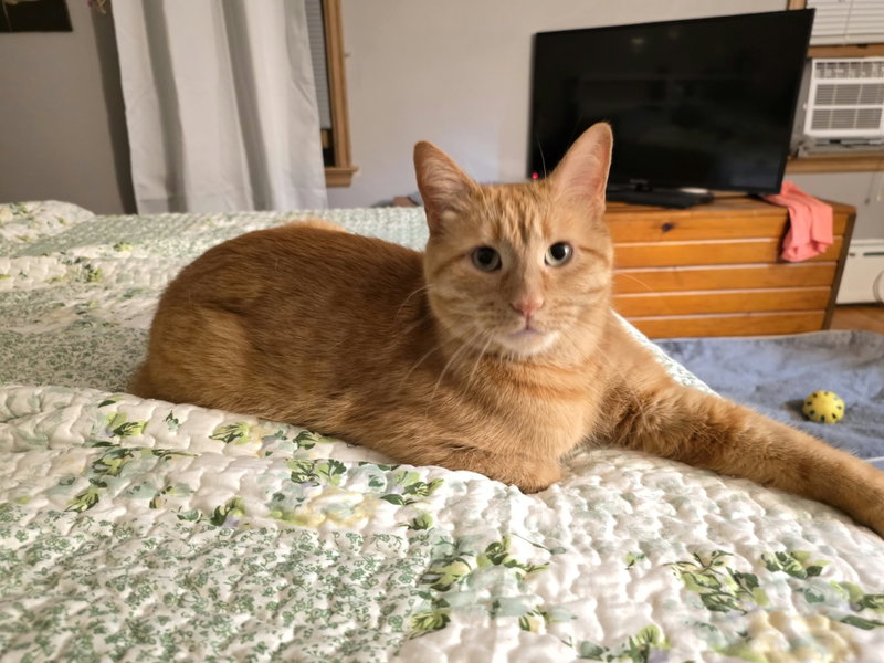Bert, photo 2