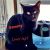 Sammy - Photo 1