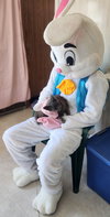 Sir Grey - Photo 2