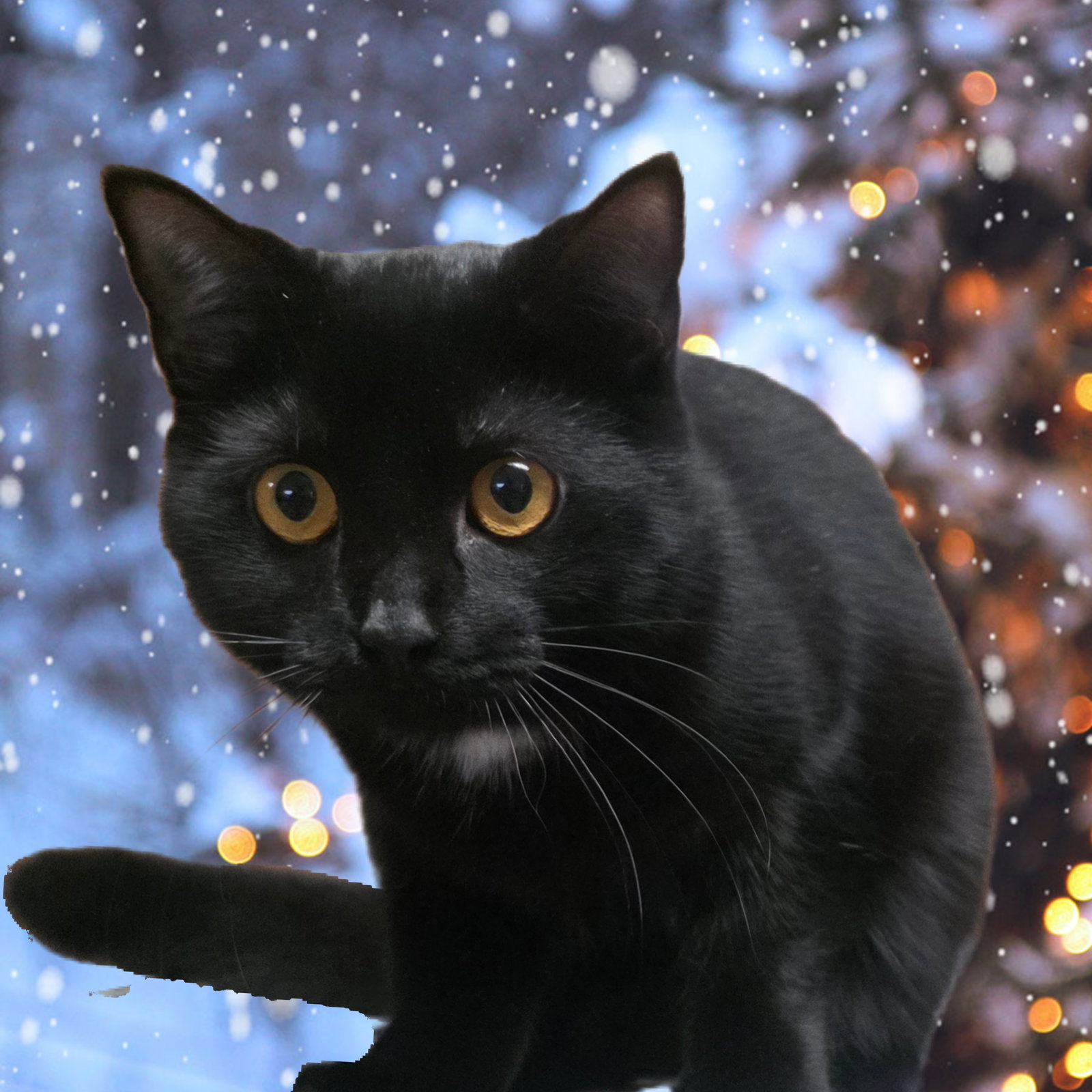 Lenny Image