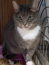 Fritzi - Photo 3