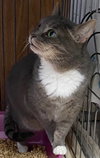Fritzi - Photo 4