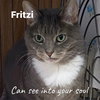 Fritzi - Photo 2