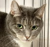 Fritzi - Photo 5