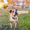 Brooklyn - Photo 4