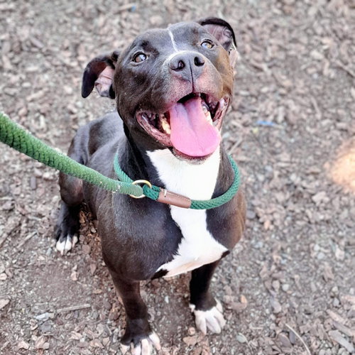 King Tubby photo 3