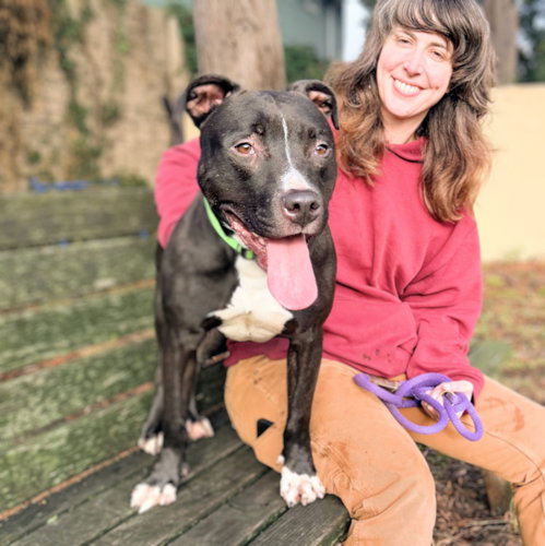 King Tubby, a dog for adoption from Oakland Animal Services