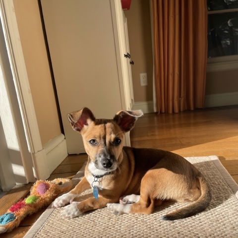 Pippa Photo