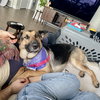 Amana - Photo 8