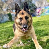 Athena Photo