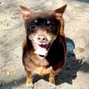Archie (bonded with Edith) - Photo 8