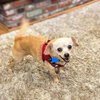 Edith (bonded with Archie) - Photo 5
