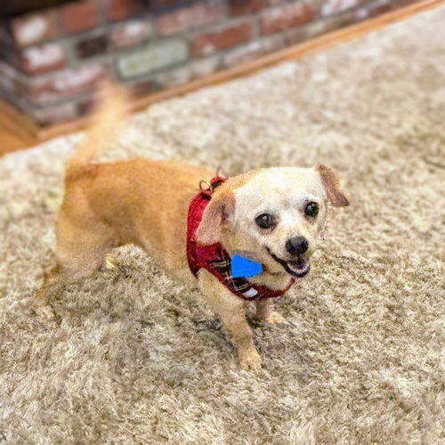Edith (bonded with Archie) — thumbnail 8