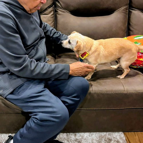 Edith (bonded with Archie) — thumbnail 9