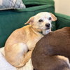 Edith (bonded with Archie) - Photo 3