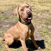 Ares Photo