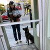 Yogurt - Photo 5