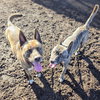 Pookie - Photo 3