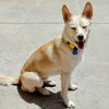 Carmine - Photo 8