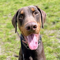 Remy Photo