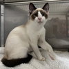 Jynx (bonded w/ Ahri) - Photo 13