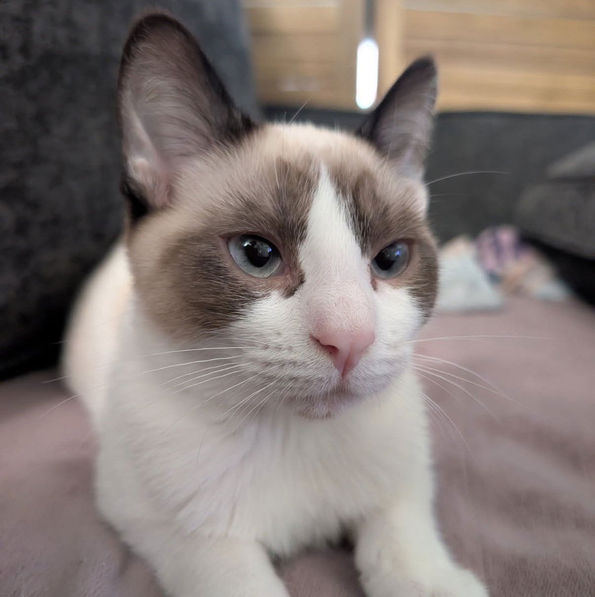 Jynx (bonded w/ Ahri) Photo