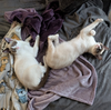 Jynx (bonded w/ Ahri) - Photo 12