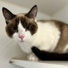 Jynx (bonded w/ Ahri) - Photo 8