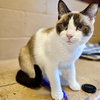Jynx (bonded w/ Ahri) - Photo 14