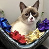 Ahri (bonded w/ Jynx) - Photo 3
