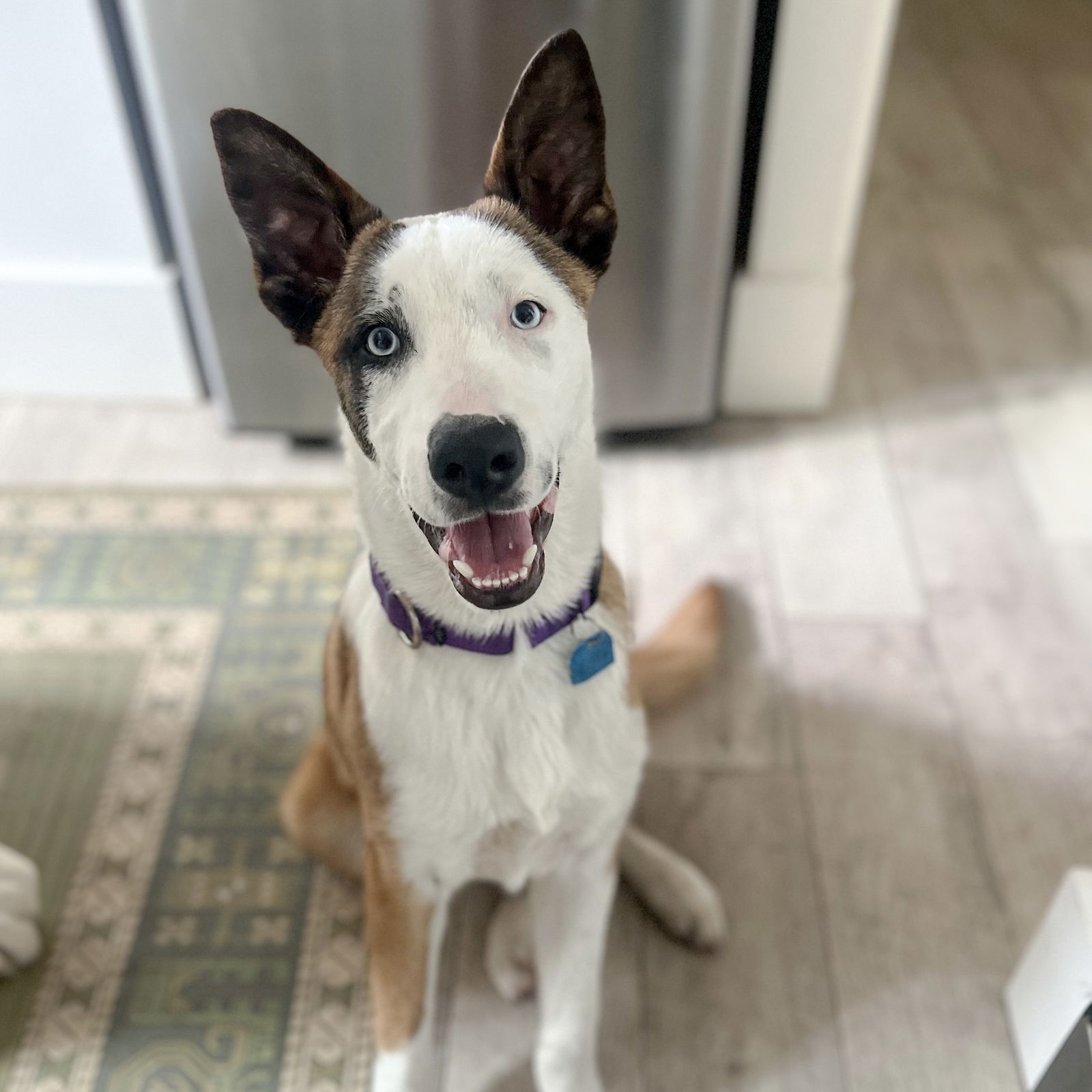 Rookie Photo