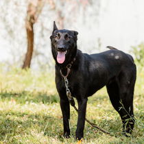 Zuri Photo