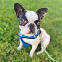 Winston Photo