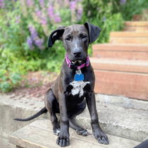 Clementine Photo
