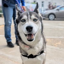 Stella Photo