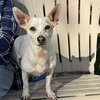 Wrigley - Photo 5