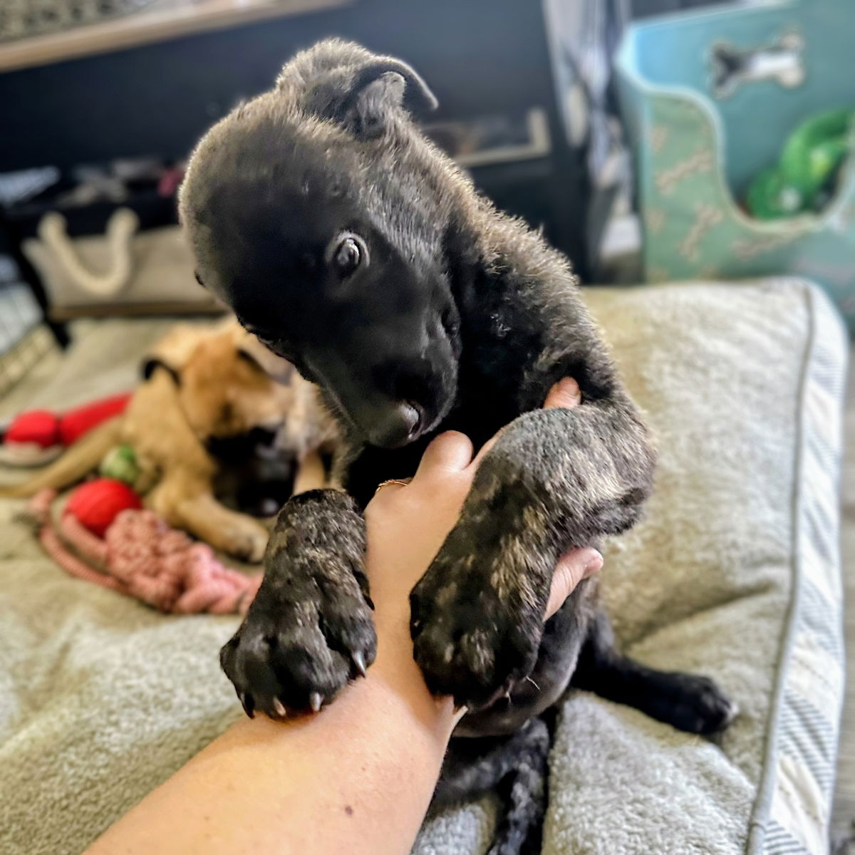 Squish Photo
