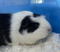 Winnie Photo