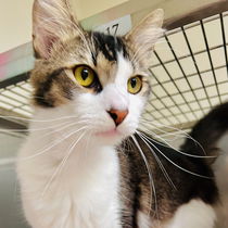 John (Bonded with Munchie) Photo